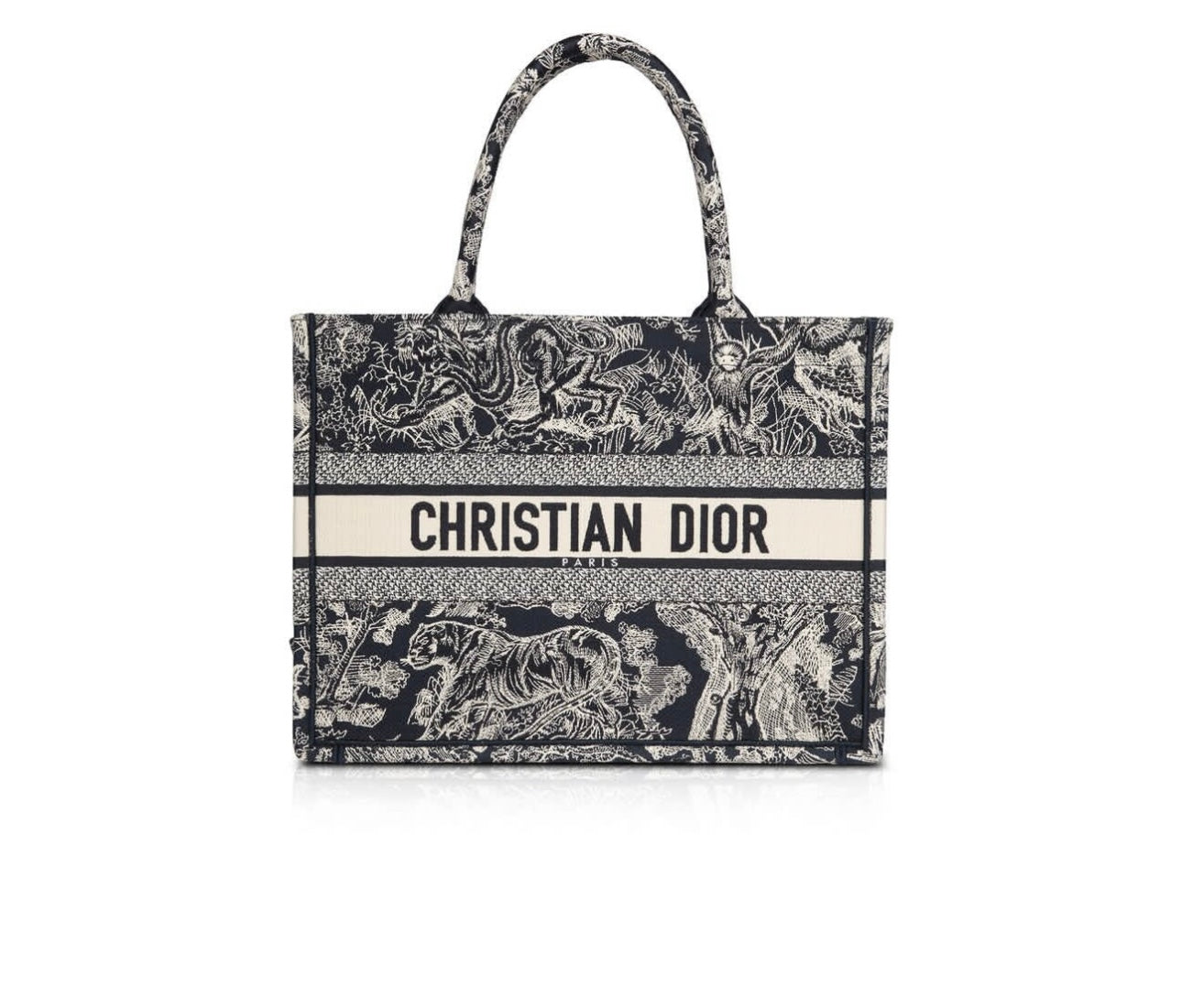 Dior Meduim Book Tote