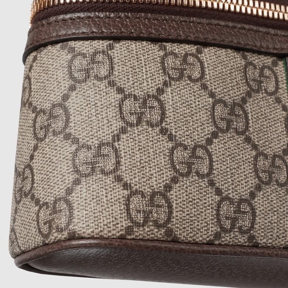 Gucci Vanity Crossbody Bag